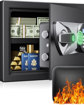 Home Biometric Safe 1.0 Cub - Fingerprint Recognition Box With Keys, Keypad Lock, LCD Display, Dual Alarm System - Wall Mount Cabinet for Jewelry and Valuables, Black